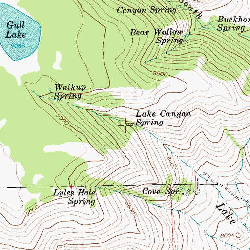 Topographic Map of Lake Canyon Spring, UT