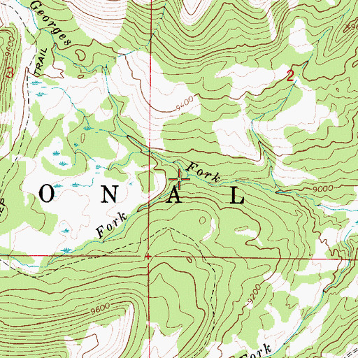Topographic Map of Lake Fork, UT