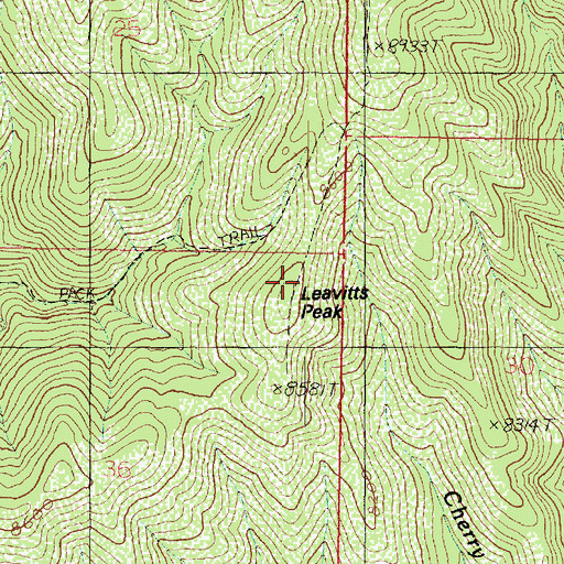 Topographic Map of Leavitts Peak, UT