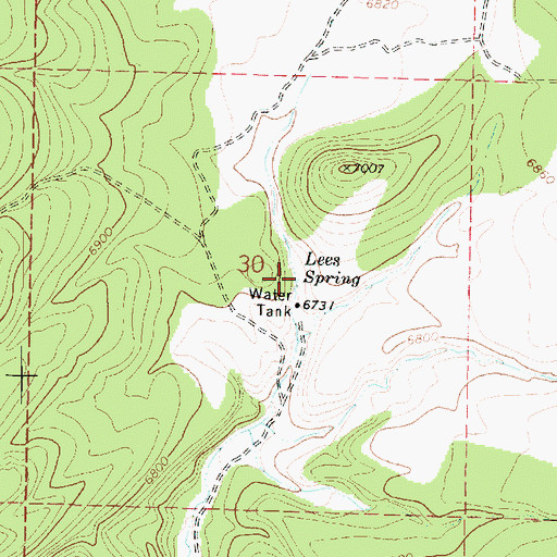 Topographic Map of Lees Spring, UT