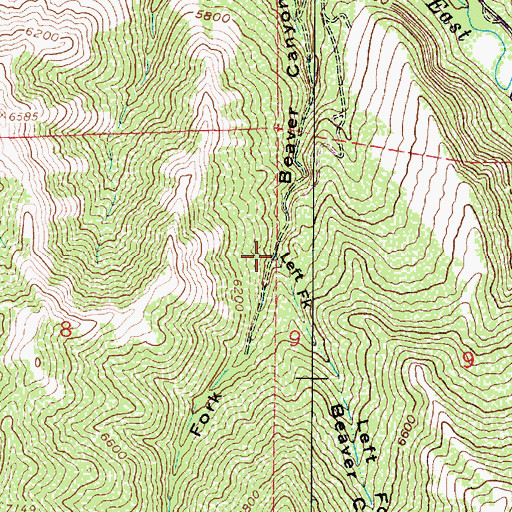 Topographic Map of Left Fork Beaver Canyon, UT