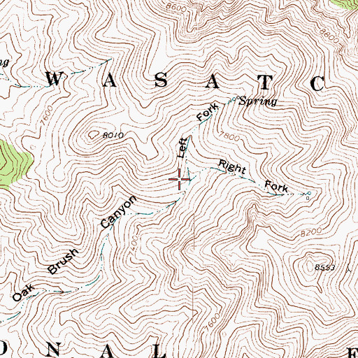Topographic Map of Left Fork South Oak Brush Canyon, UT