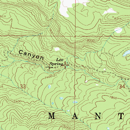 Topographic Map of Leo Spring, UT