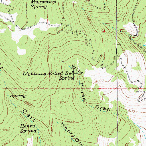 Topographic Map of Lightning Killed Bull Spring, UT