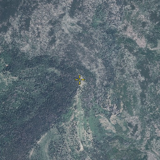 Aerial/Satellite Image of Limber Flag, UT