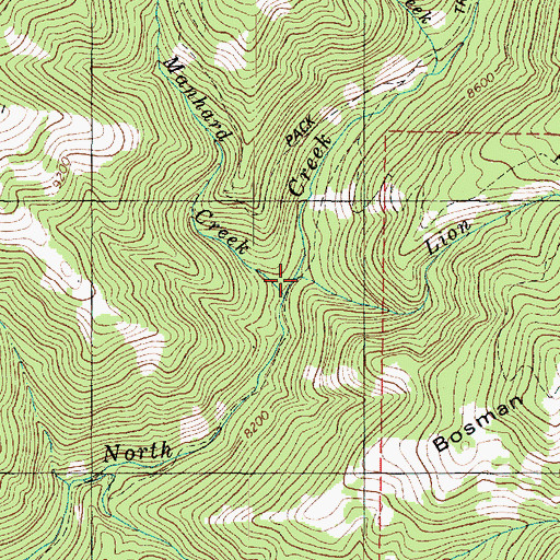 Topographic Map of Lion Creek, UT