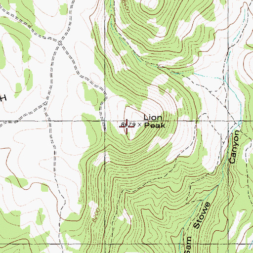 Topographic Map of Lion Peak, UT
