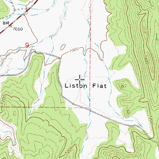 Topographic Map of Liston Flat, UT