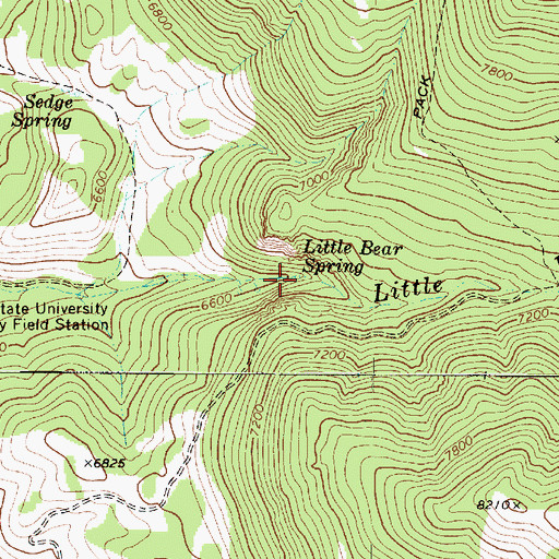 Topographic Map of Little Bear Spring, UT