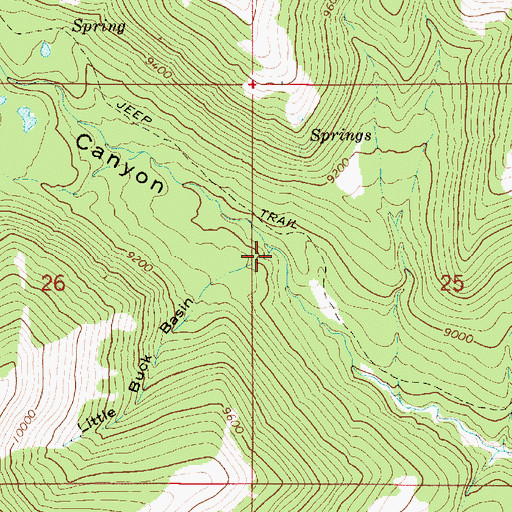 Topographic Map of Little Buck Basin, UT