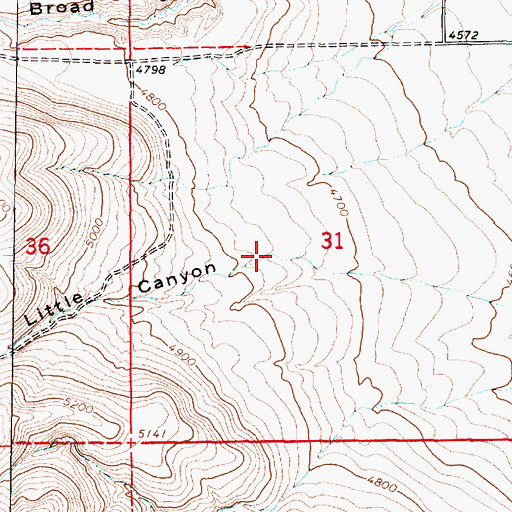 Topographic Map of Little Canyon, UT