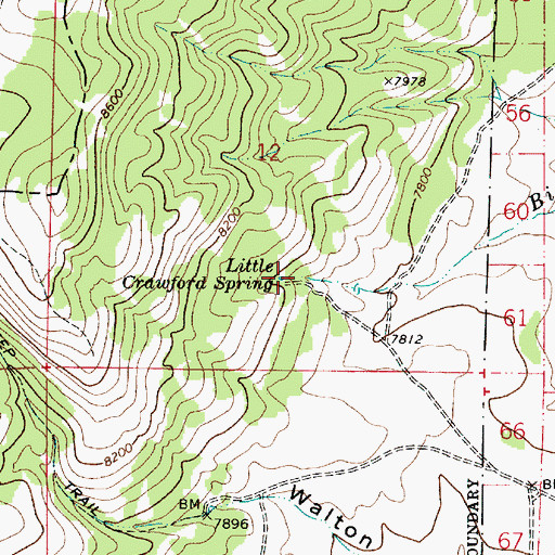 Topographic Map of Little Crawford Spring, UT