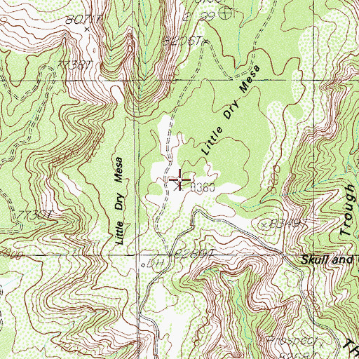 Topographic Map of Little Dry Mesa, UT