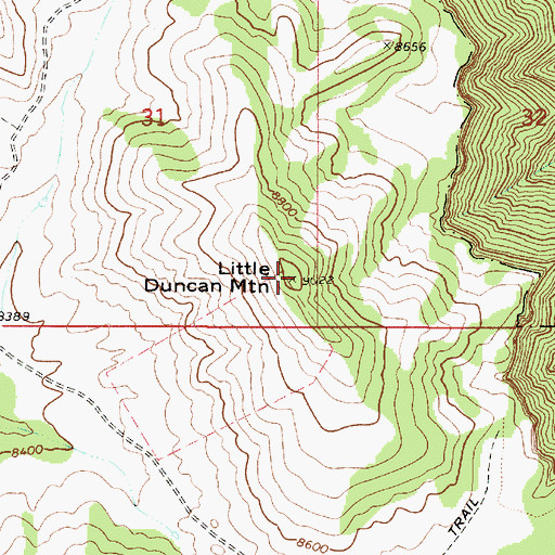 Topographic Map of Little Duncan Mountain, UT