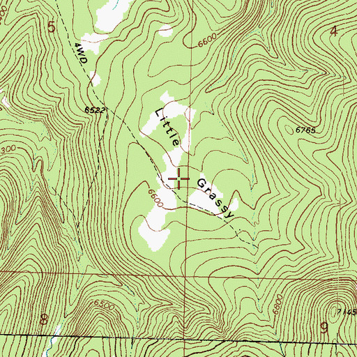 Topographic Map of Little Grassy, UT