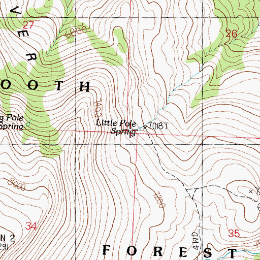 Topographic Map of Little Pole Spring, UT