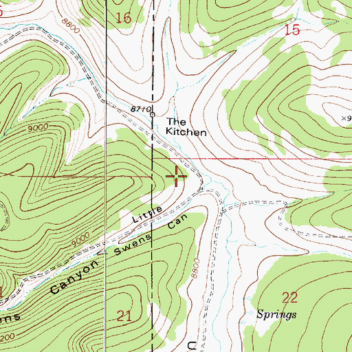 Topographic Map of Little Swens Canyon, UT