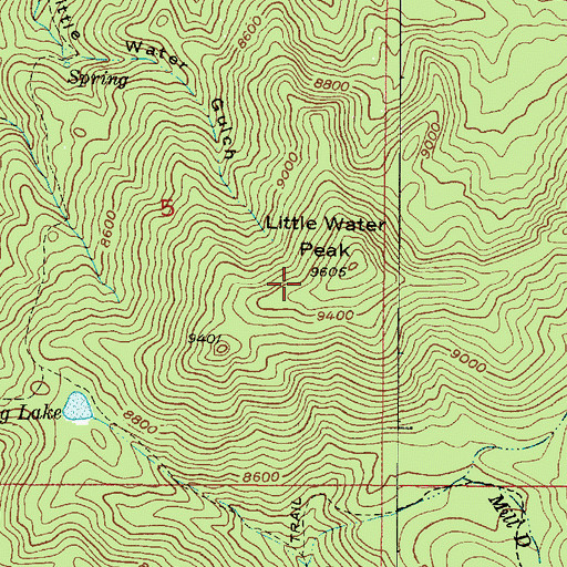 Topographic Map of Little Water Gulch, UT