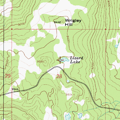 Topographic Map of Lizard Lake, UT