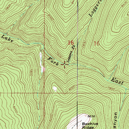 Topographic Map of Loggers Fork, UT
