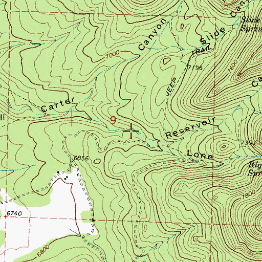 Topographic Map of Lone Pine Canyon, UT