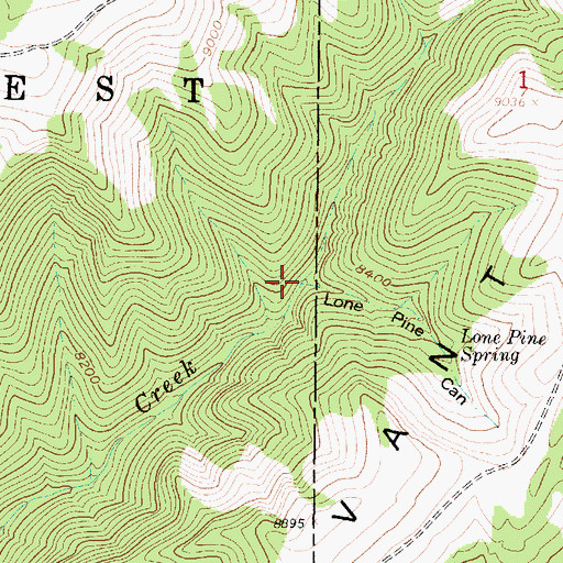 Topographic Map of Lone Pine Canyon, UT