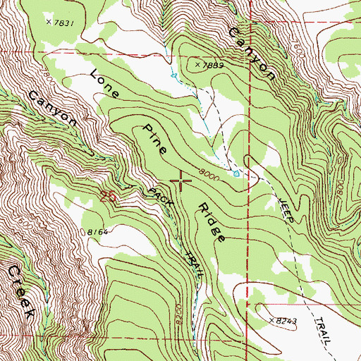 Topographic Map of Lone Pine Ridge, UT