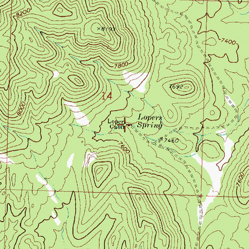 Topographic Map of Lopers Spring, UT