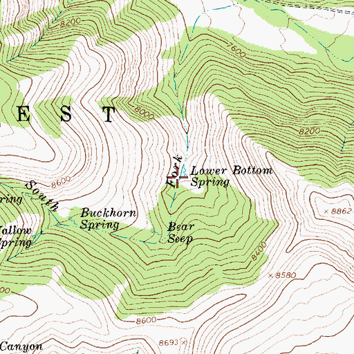 Topographic Map of Lower Bottom Spring, UT