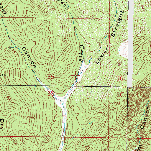 Topographic Map of Lower Straight Canyon, UT