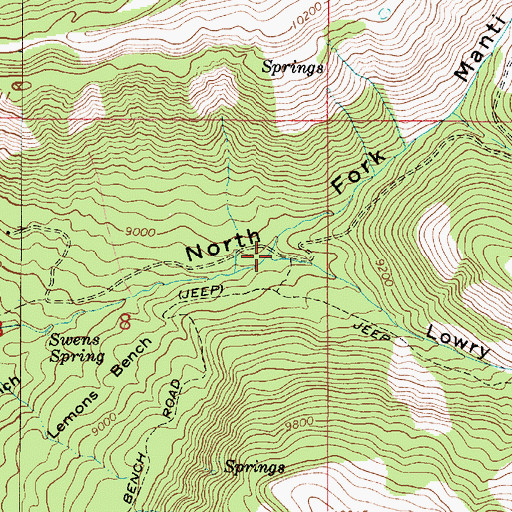 Topographic Map of Lowry Fork, UT
