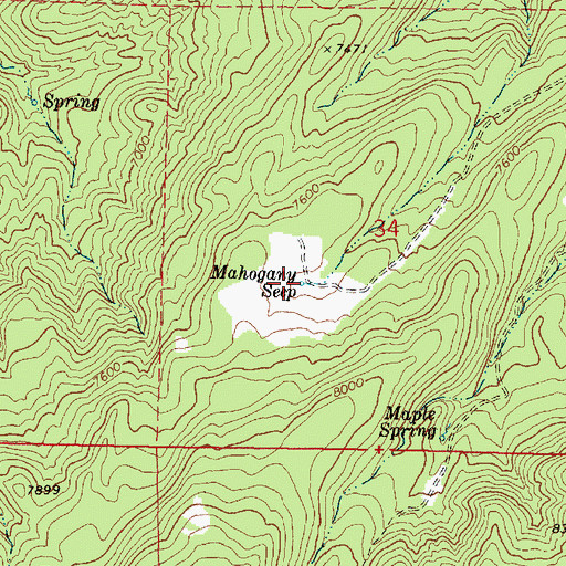Topographic Map of Mahogany Seep, UT