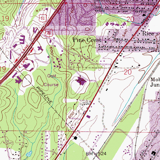 Topographic Map of Jess Lanier High School, AL
