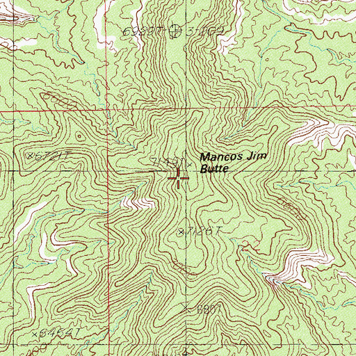 Topographic Map of Mancos Jim Butte, UT