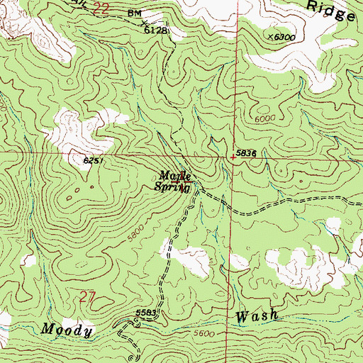 Topographic Map of Maple Spring, UT