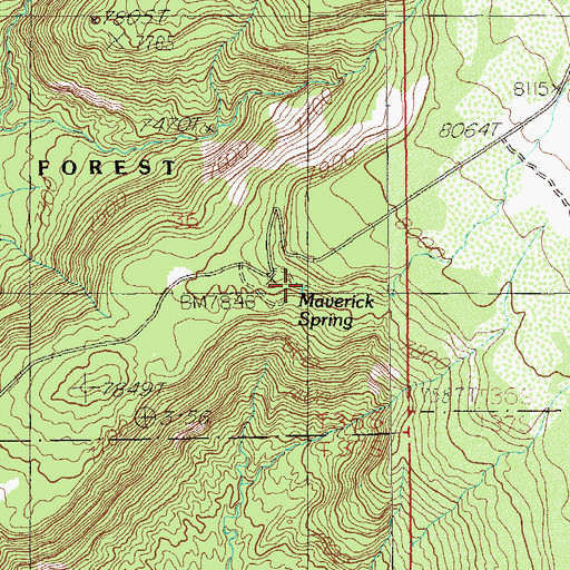 Topographic Map of Maverick Spring, UT