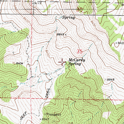 Topographic Map of McCardy Spring, UT