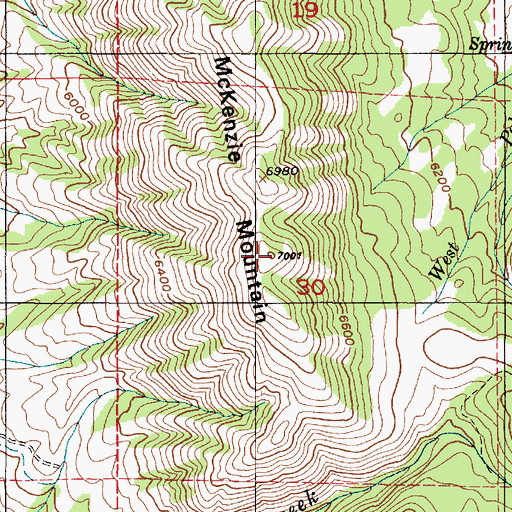 Topographic Map of McKenzie Mountain, UT