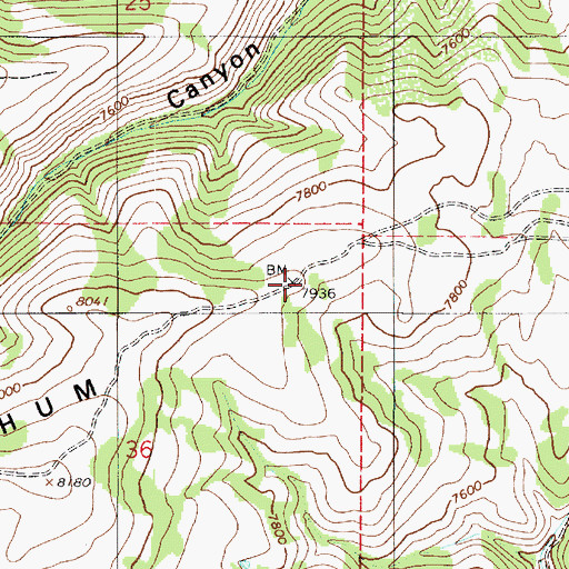 Topographic Map of Meachum Ridge, UT