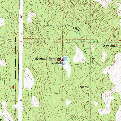 Topographic Map of Middle Spring Lake, UT
