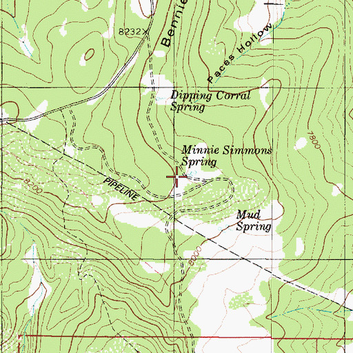 Topographic Map of Minnie Simmons Spring, UT