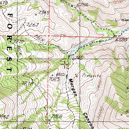 Topographic Map of Morgan Canyon, UT