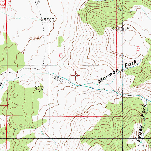 Topographic Map of Mormon Fork, UT