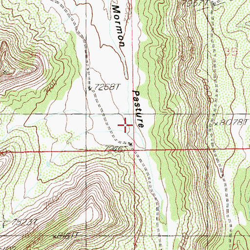 Topographic Map of Mormon Pasture, UT