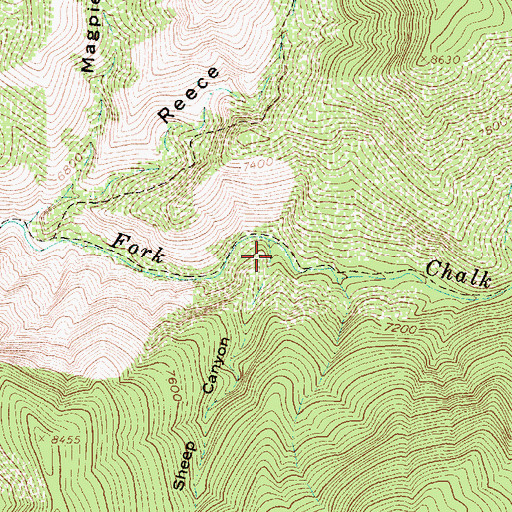 Topographic Map of Mountain Sheep Canyon, UT