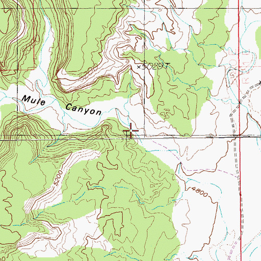 Topographic Map of Mule Canyon, UT