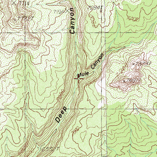 Topographic Map of Mule Canyon, UT