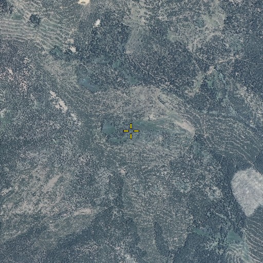 Aerial/Satellite Image of Murray Park, UT
