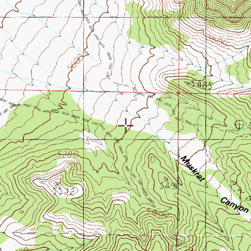 Topographic Map of Muskrat Canyon, UT