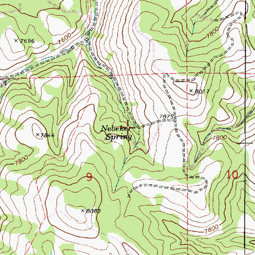 Topographic Map of Nebeker Spring, UT